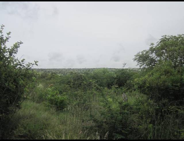 FARM FOR SALE IN HAAKDOORNBOOM AH